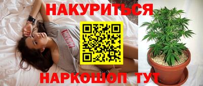 стафф Обь