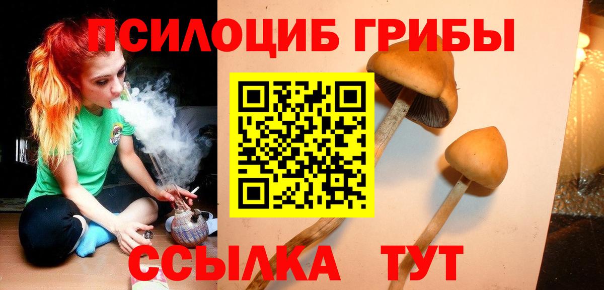 Псилоцибиновые грибы Psilocybe  Вход с VPN  Улан-Удэ 